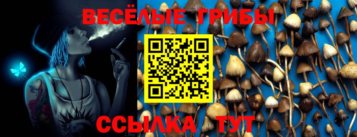 Псилоцибиновые грибы мухоморы Киселёвск