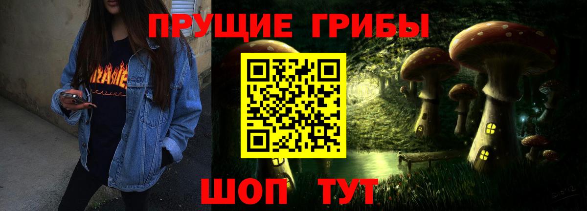 Псилоцибиновые грибы прущие грибы  купить  цена  Киселёвск  Вход с VPN  Галлюциногенные грибы Psilocybine cubensis 